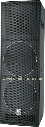 Professional Speaker (VS1005)