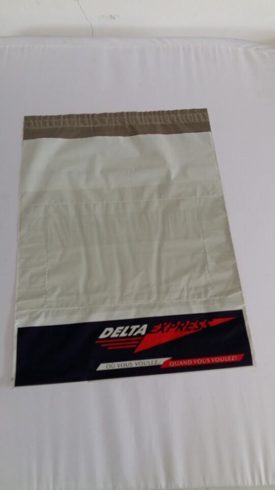 Promotion LDPE Mailing Courier Plastic Bags with Logo/Express Bags/Mailing Bag