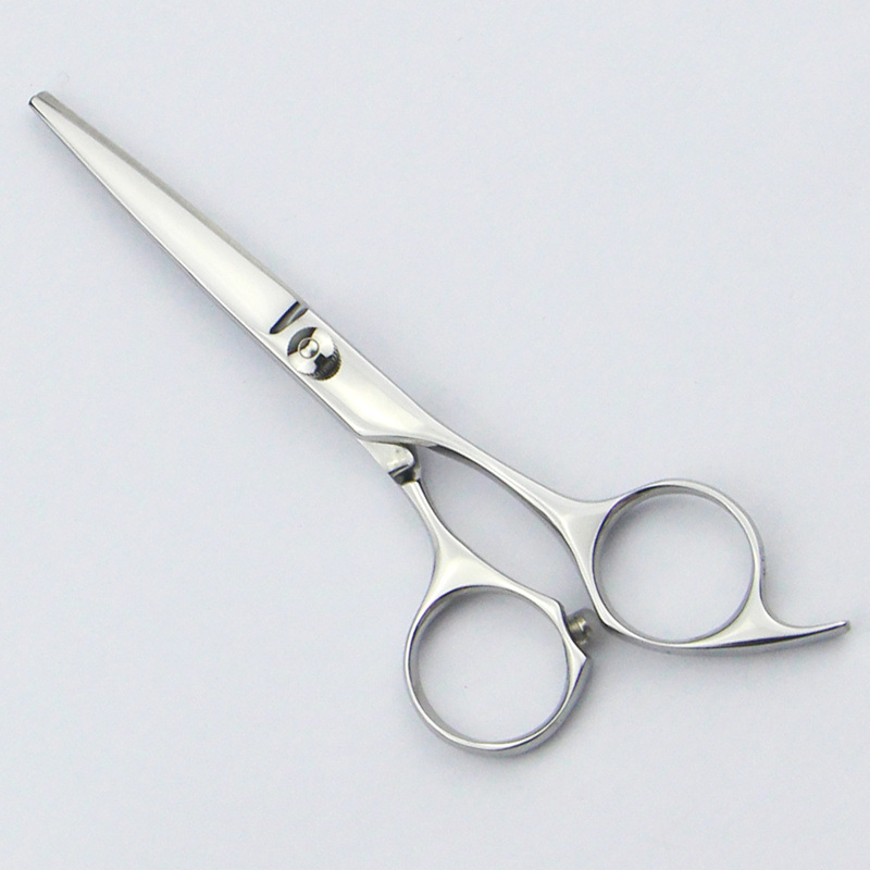Fashion Beauty Hair Scissor (075-S)