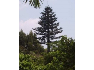 Communication Bionic Palm Tree Tower