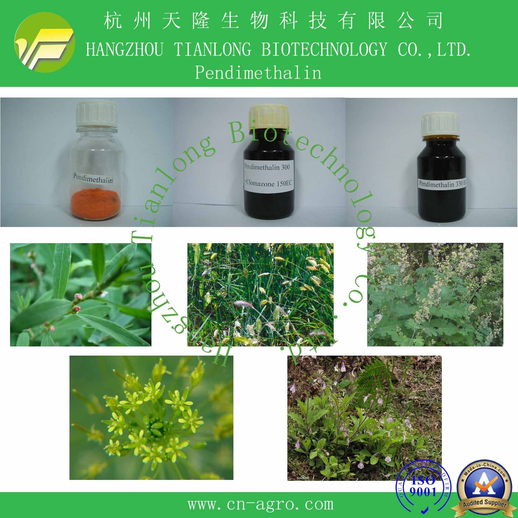 Good Quality Herbicide Pendimethalin (98%TC, 33%EC, 50% EC, 40%SC, 20%SC)