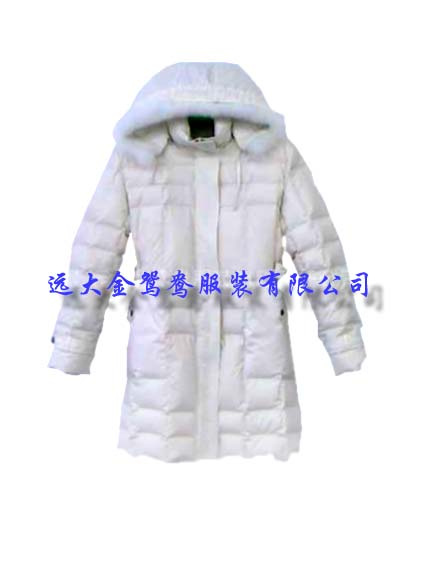 Down Garment