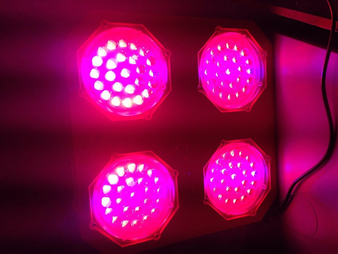 CF-180g Customized Wavelength 300W with Full Spectrum, Hybrid Induction Lamp LED Grow Lighting
