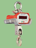 Crane Scale