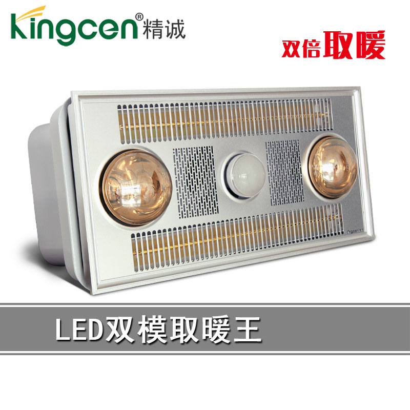 Delux Multi-Function Bathroom Heater (KC15702)