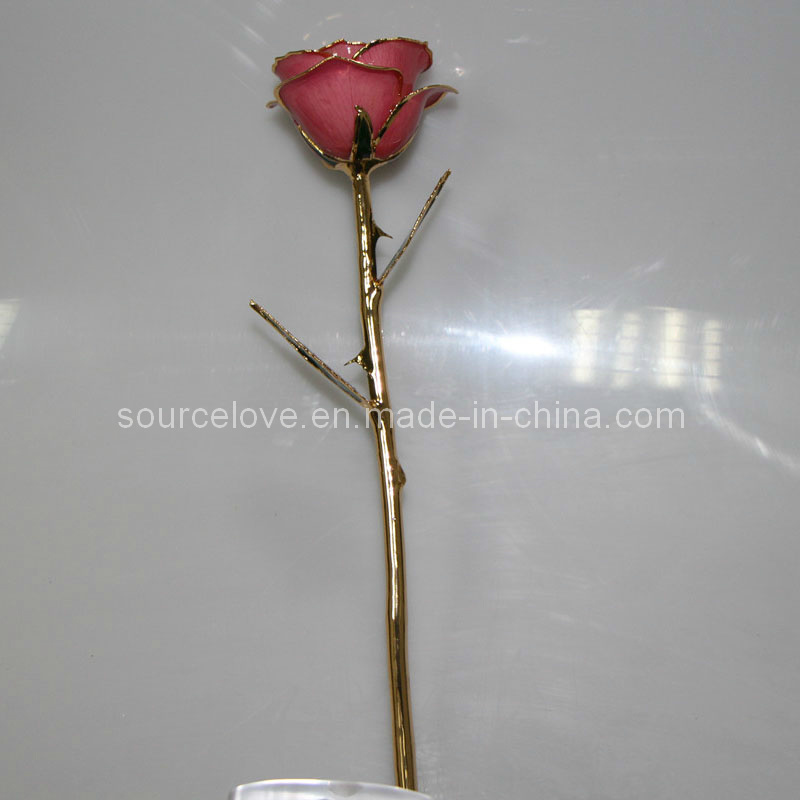 24k Gold Rose of Holiday Gift (MG054)
