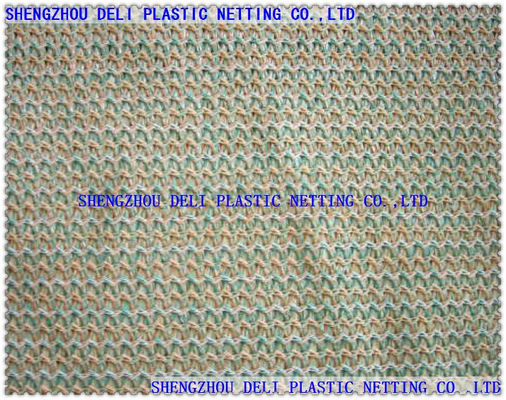 Shade Net - 1