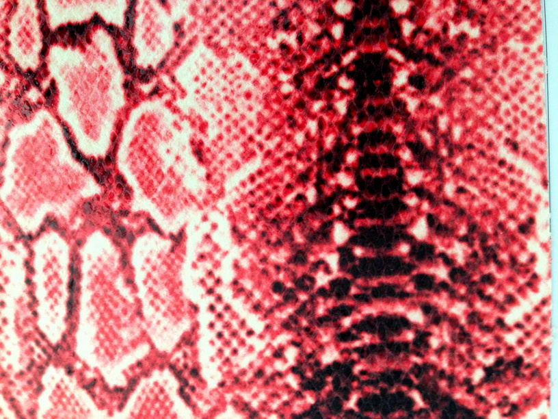 Snake Fabric