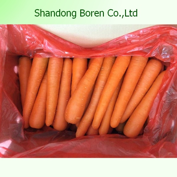 2015 High Quality Fresh Vegetables Carrot
