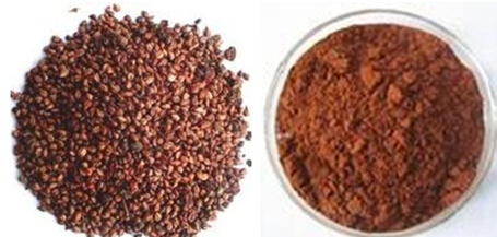 Grape Seed Extract (high orac value)