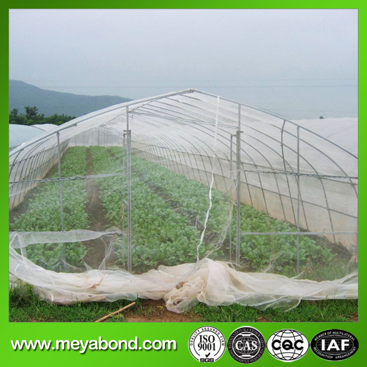 Anti Aphid Net, Anti Insect Net, Greenhouse Netting