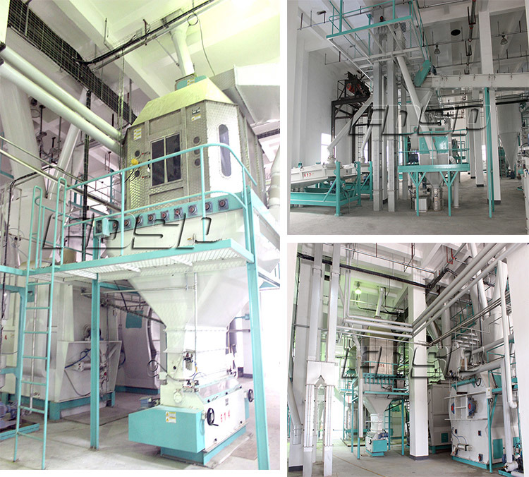 High Output Animal Feed Processing Equipment