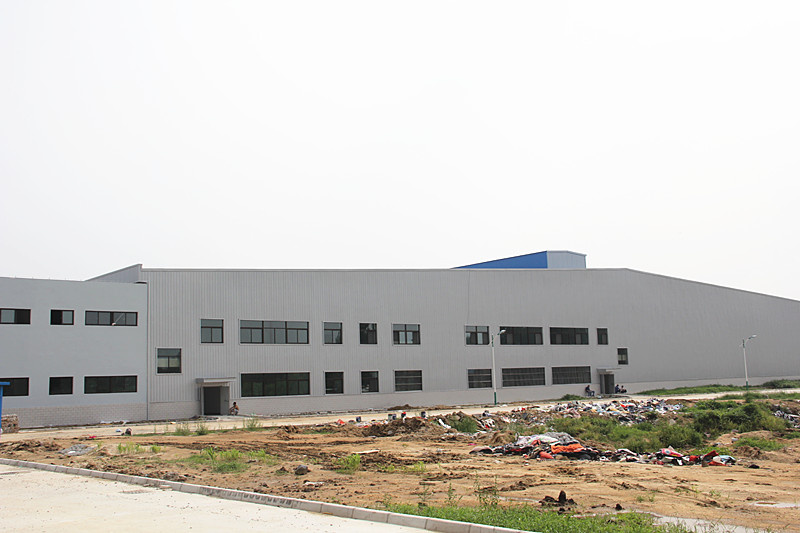 Steel Structure Buildings for Processing Workshop
