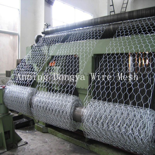 Heavy Hexagonal Wire Netting