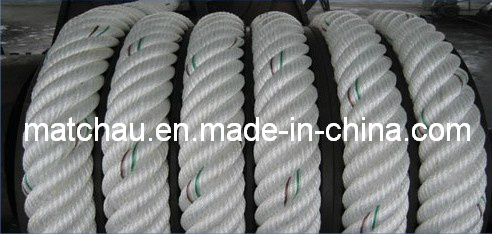 6-Strand and 8-Strand Marine Nylon PP Mooring Line Rope