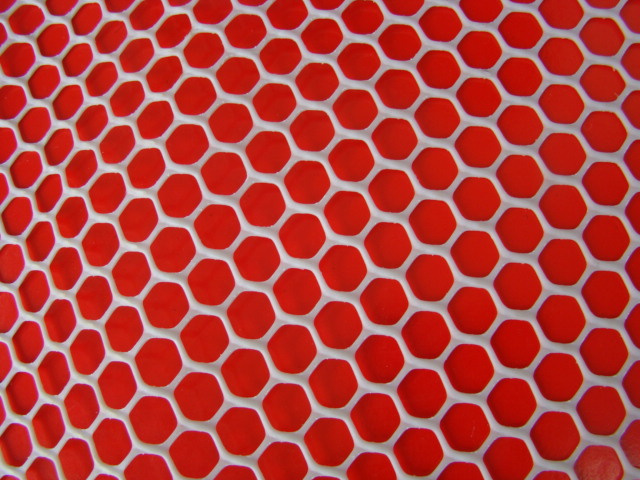 Plastic Plain Netting