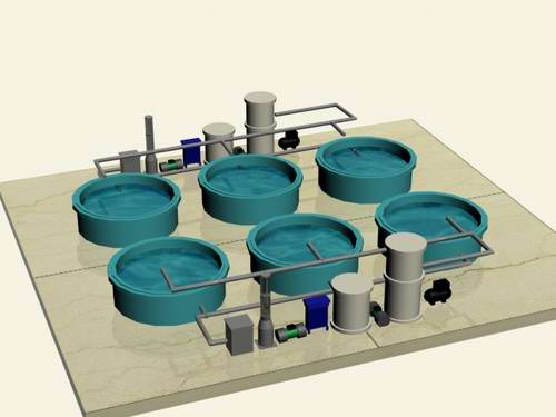 Flounder/Grouper Growth Recirculation Water Treatment