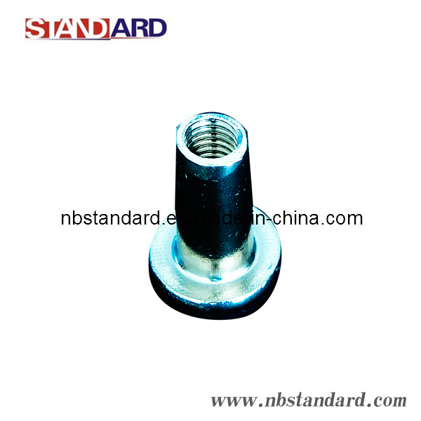 Hex Socket / Floor Screw