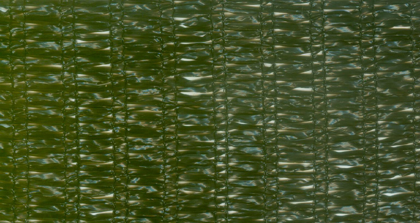 Shade Net 3