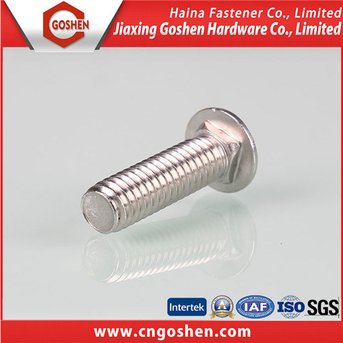 DIN603 Square Neck Carriage Bolt with Hole for Cable Tray