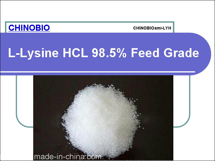 Feed Grade L-Lysine HCl for Animal and Poultry Feed