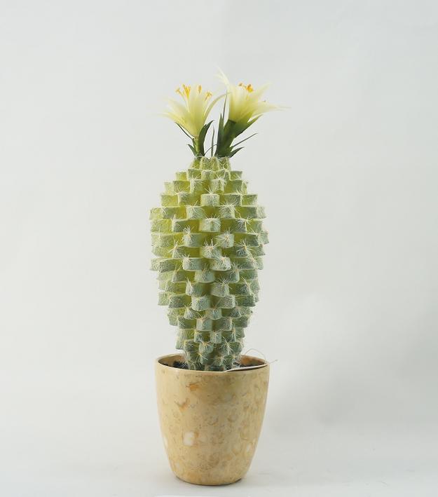 PE Foam Artificial Cactus Plants with Flower