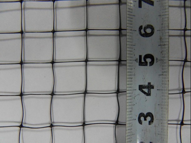 100% HDPE Bird Netting for Catching Bird