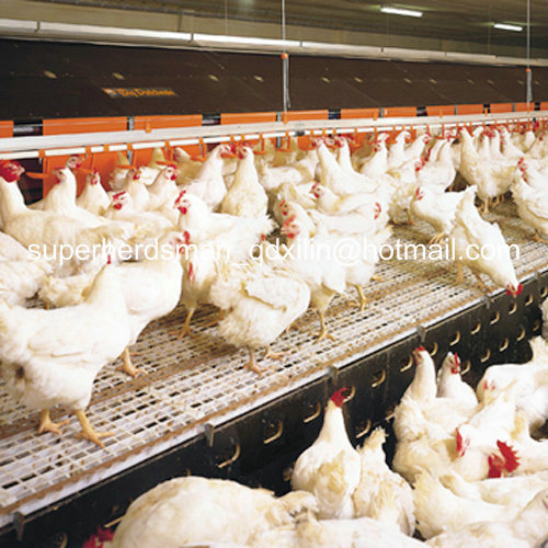 Full Set Automatic Poultry Equipment for Broiler Farm House