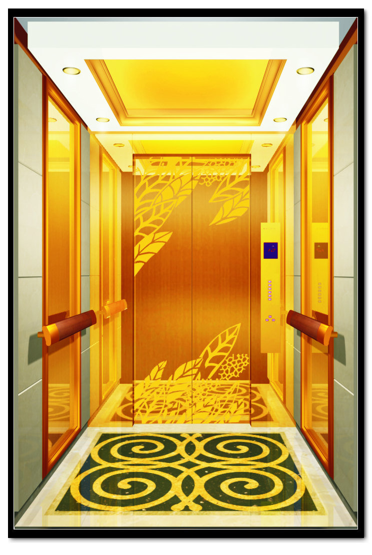 800kg Titanium Etched Decoration Passenger Elevator