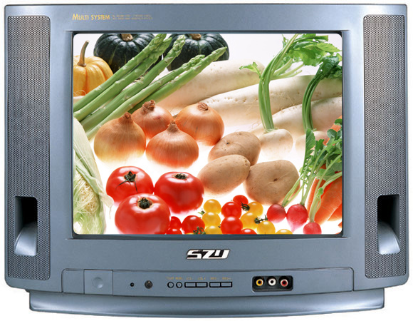 CRT Color TV (SA Series)