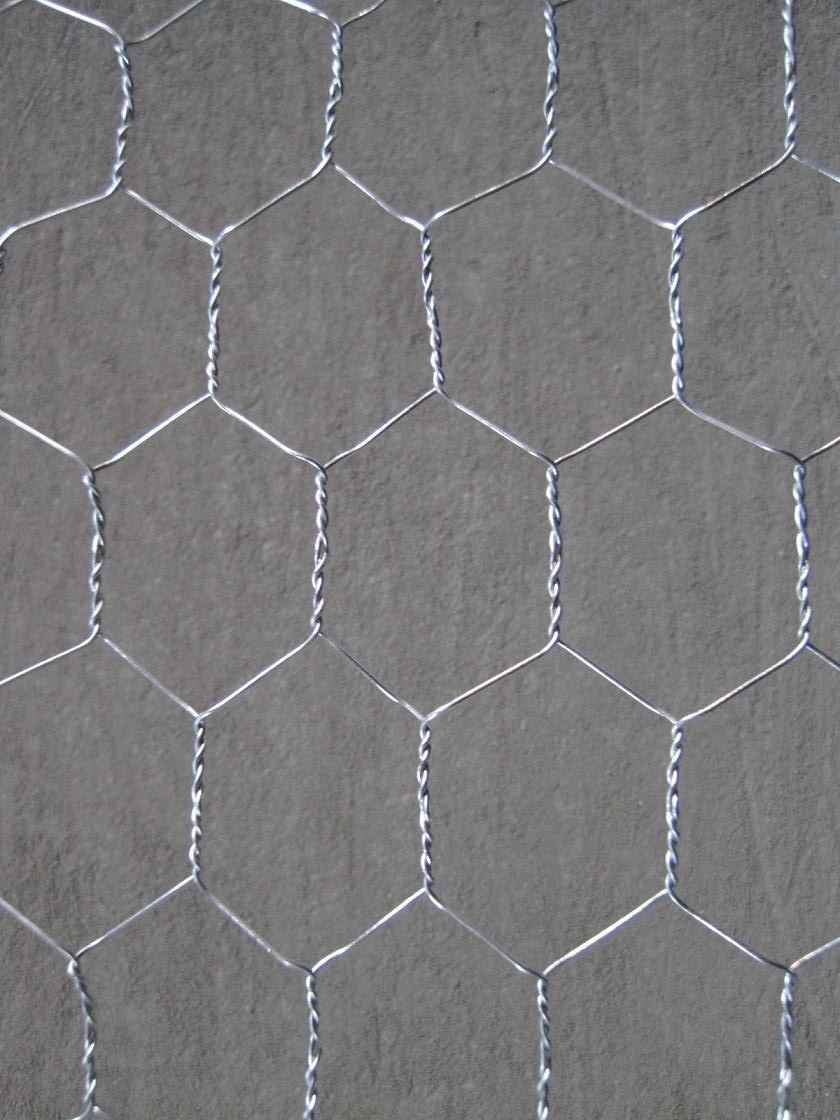 Chicken Poultry Wire Mesh Netting for Breeding