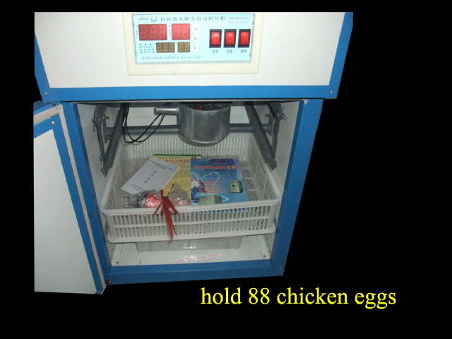 Small Automatic Egg Incubator