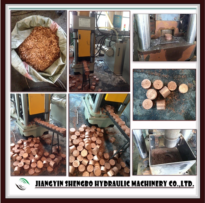 Hydraulic Scrap Metal Chip Briquetter Copper Briquetting Press (CE SGS)