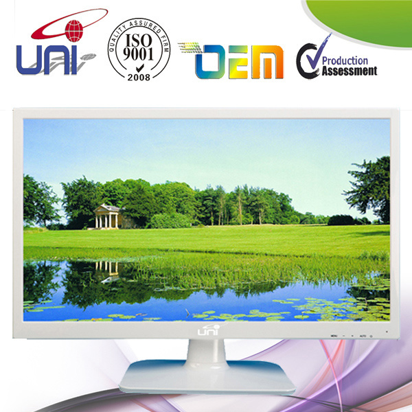 Environmental Protection 19 Inch LED TV with OSD Language