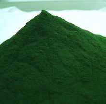 Dietary Supplement Food Additive Green Algae Powder (chlorella)