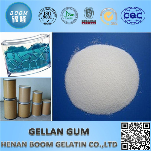 10 Years Manufacture High Acyl Gellan Gum