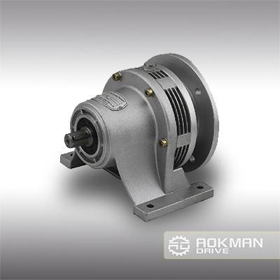 Qualified Wb Series Micro Cycloidal Reducer