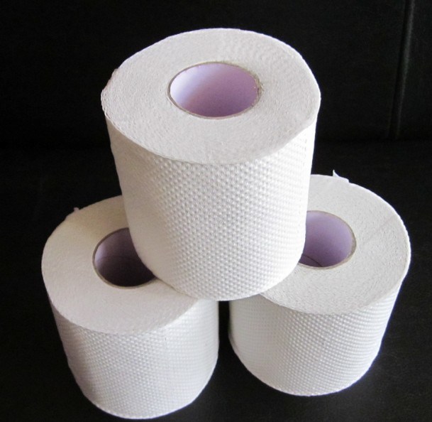 Toilet Paper, Toilet Tissue, Tissue Paper for Household Bathroom
