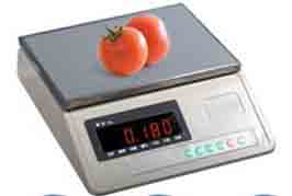 Electronic Counting Scale