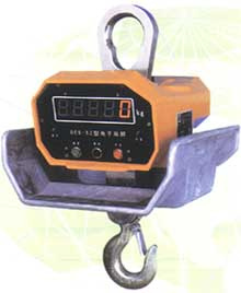 SCS Crane Scale