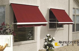Window Style Awning
