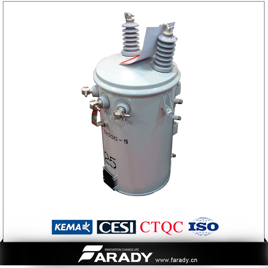 Single Phase Iron Core 22kv Power Transformer D11 Series