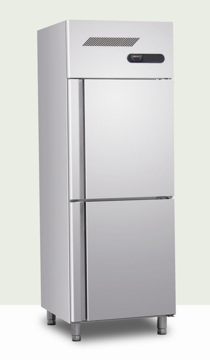 Upright Kitchen Refrigerator with Two Door
