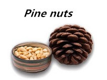 Original Hot Sale Natural Pine Nut