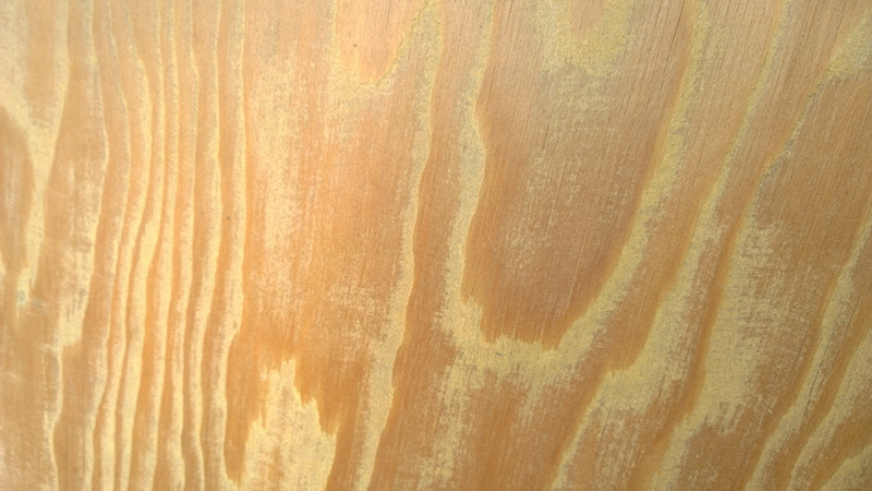 Russian Pine Plywood