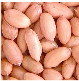 Peanut Kernel with Top Quality China Origin