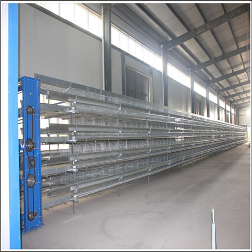Poultry Farm Equipment Layer Chicken Battery Cage for Sale