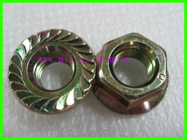 Flange Nuts with High Quality (DIN6923)
