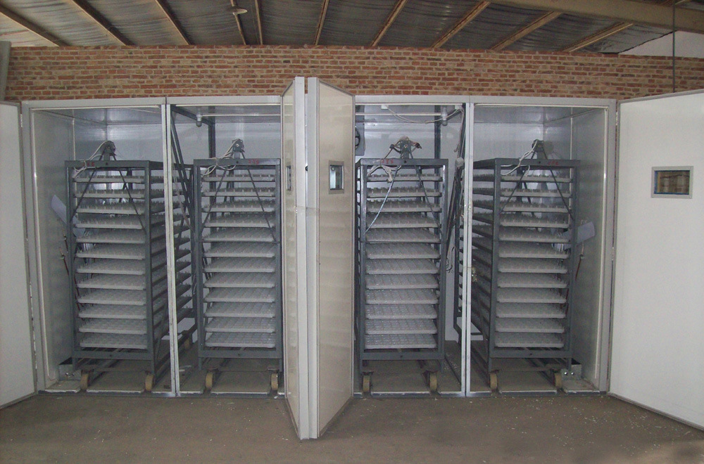 Automatic Largest Chicken Incubator Hatchery Machine for Reptile and Poultry Parrot (RD-19712)