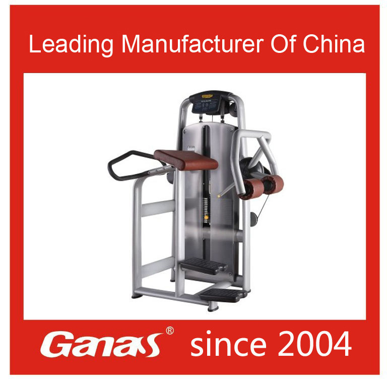 Commercial Gym Equipment Luxury Commercial Glute Machineg-603
